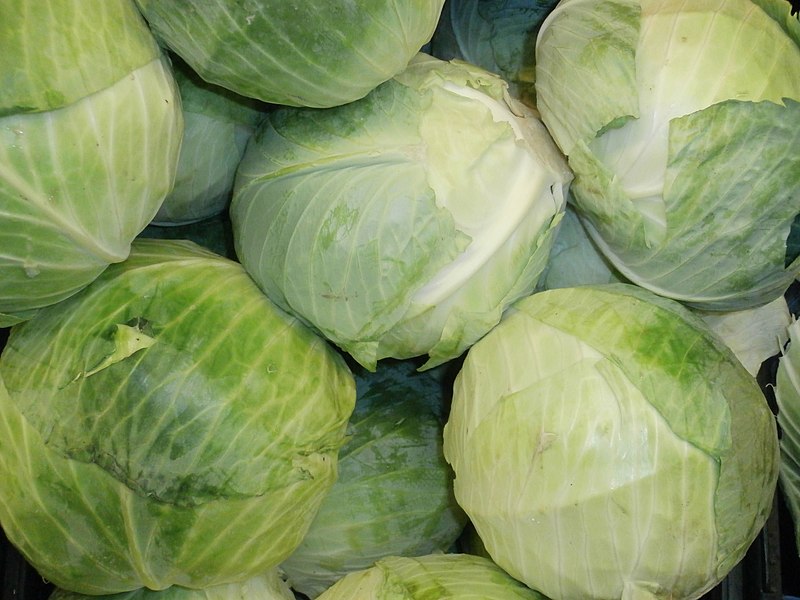 many cabbages