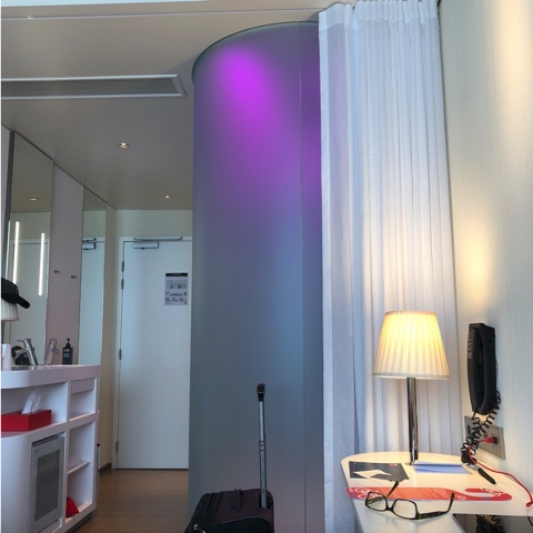 Paris hotel curved glass shower
