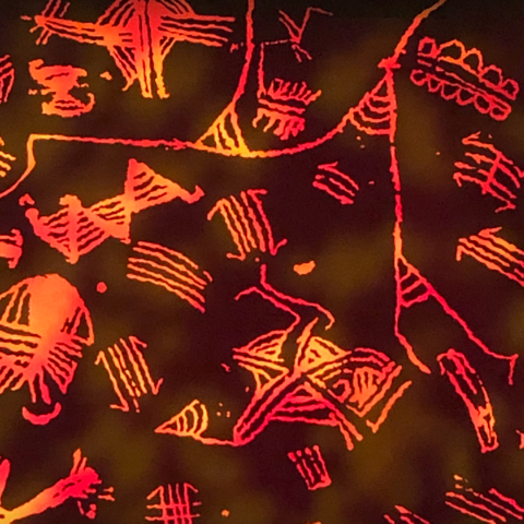 Close up of the stage curtain from The Lion King