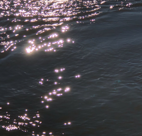 Light reflecting off water