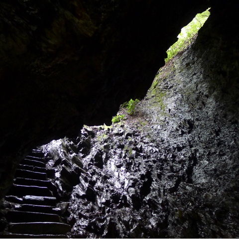 Photo taken from within a wet, gray stone cave, with light shining from the opening above and falling on the stone steps that lead the way out