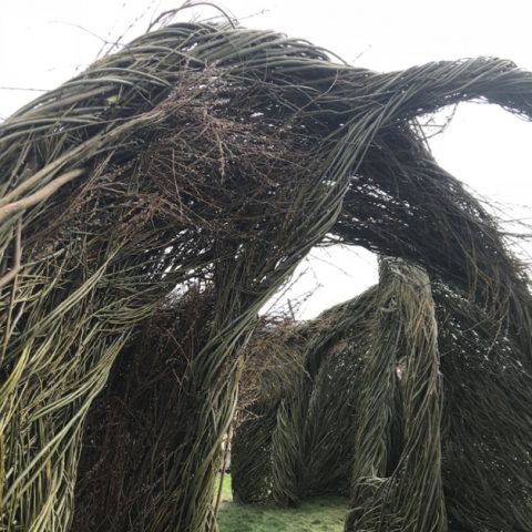 Willow branches formed to make a shelter