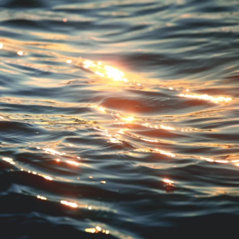 Light reflecting off ripples of water