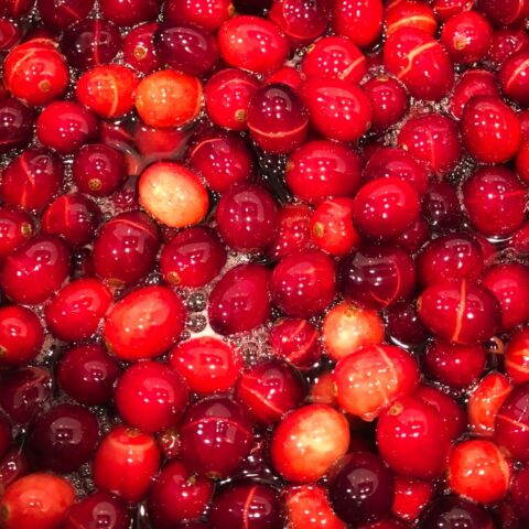 Close up of bright red cranberries, cooking