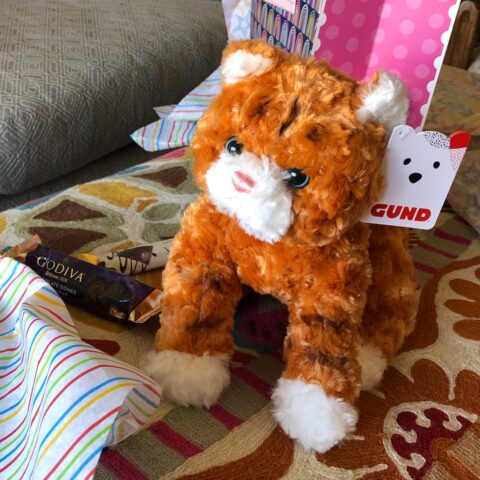 A Gund stuffed cat, orange with white paws, and a godiva chocolate bar nearby