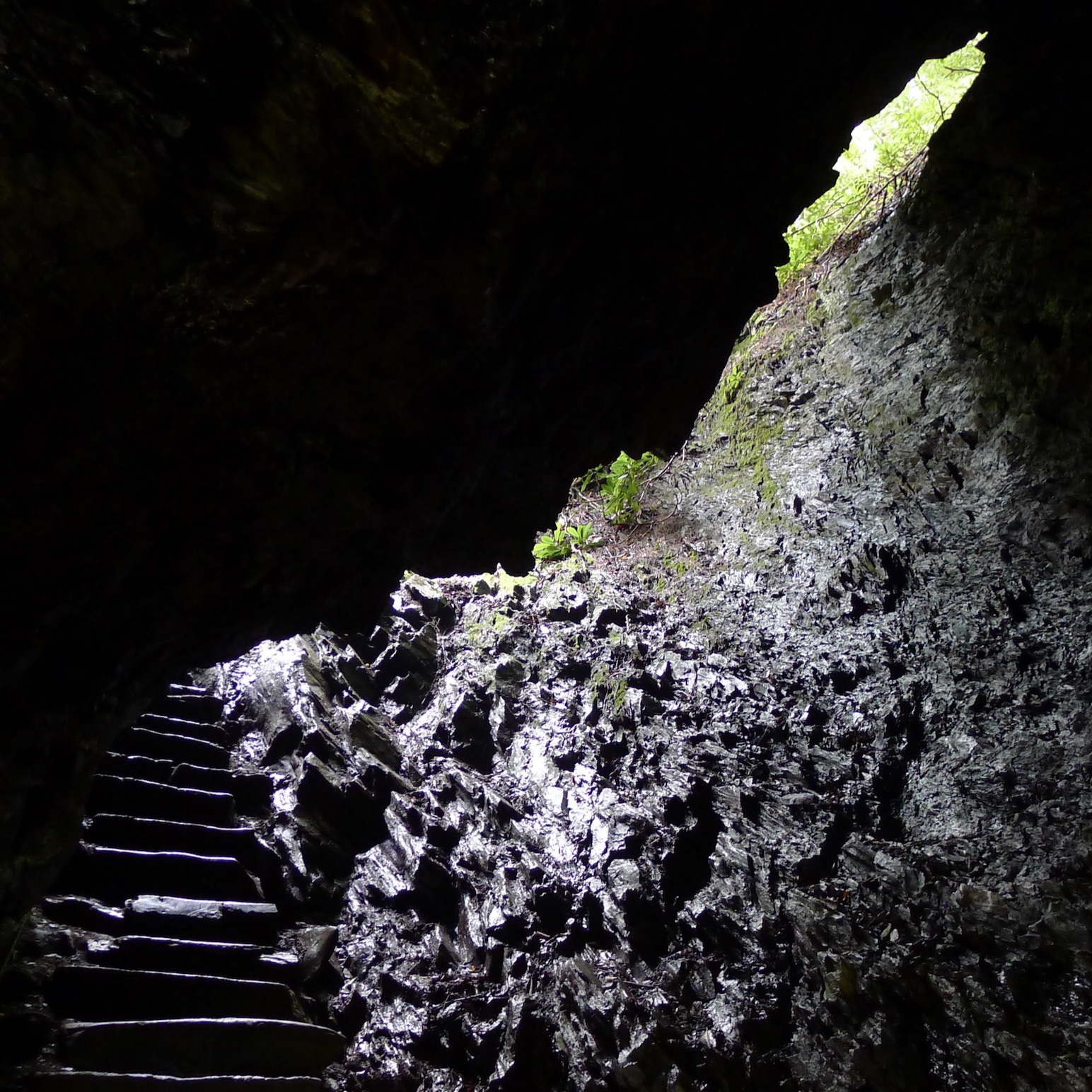 wet stairs leading up from a cave into sunlight