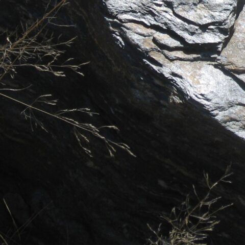 close-up of a large rock next to grasses