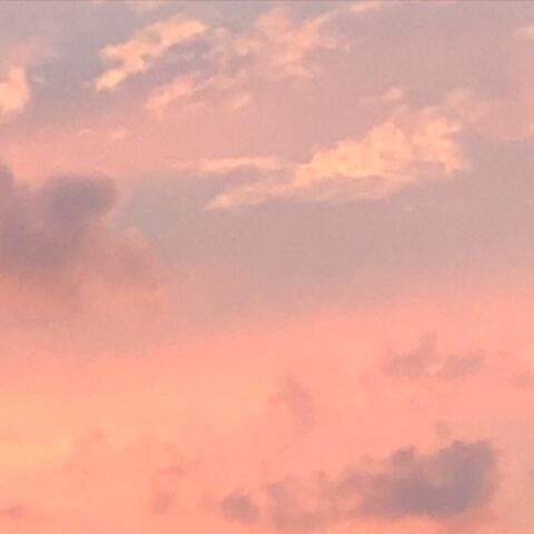 Pink clouds on a dusky sky