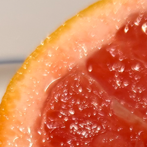 closeup of a pink Texas grapefruit