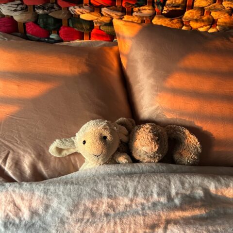 Two toy stuffed animals tucked into bed