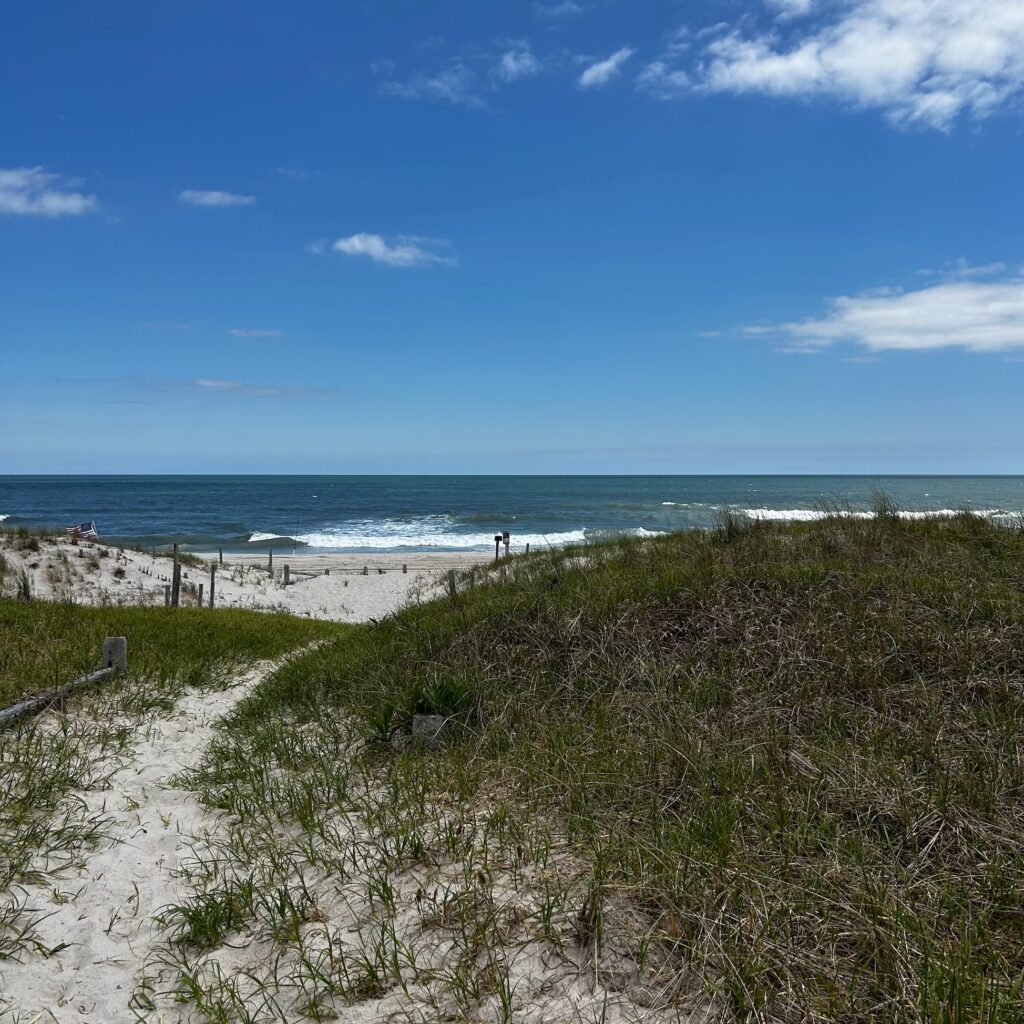 Island Beach State Park, dunes and water