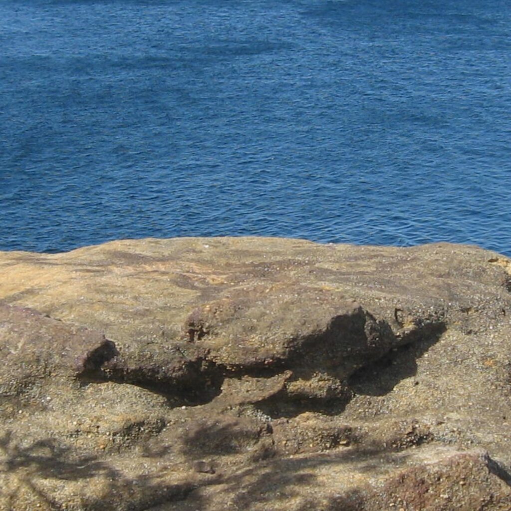 close up of the Pacific ocean and a rock cliff in New Zealand