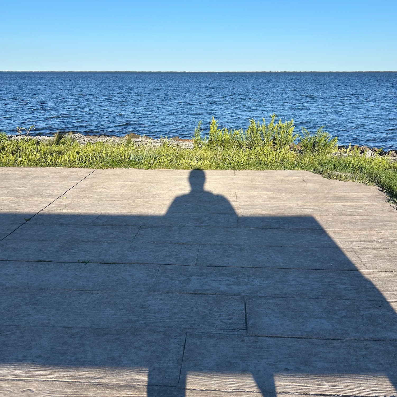 Jules-Shadow-on-Bench Shadow of Jule on a bench at the ocean